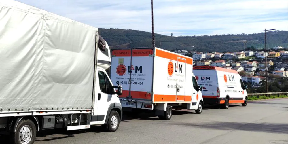LM Mudanças e Transportes