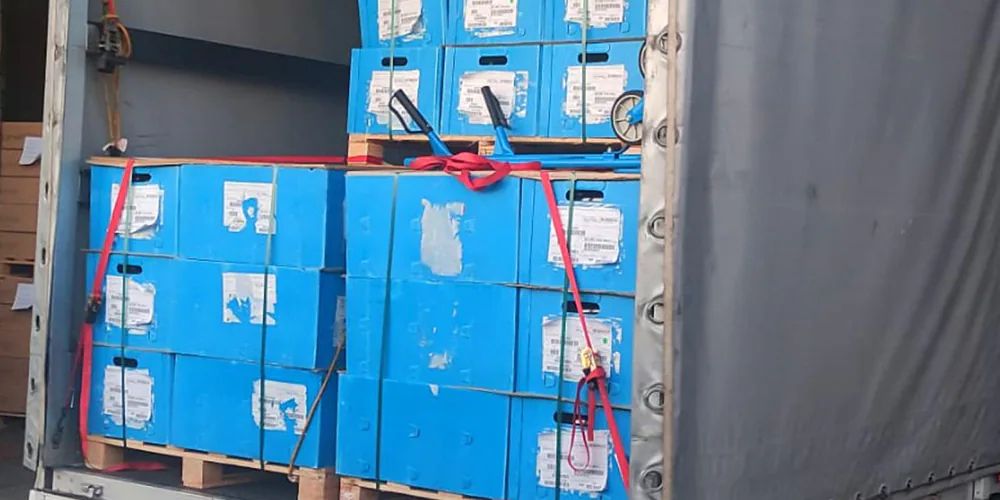 LM Mudanças e Transportes