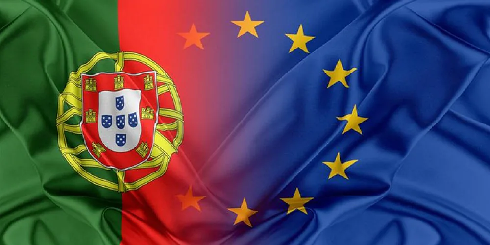 LM Mudanças e Transportes